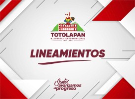 LINEAMIENTOS